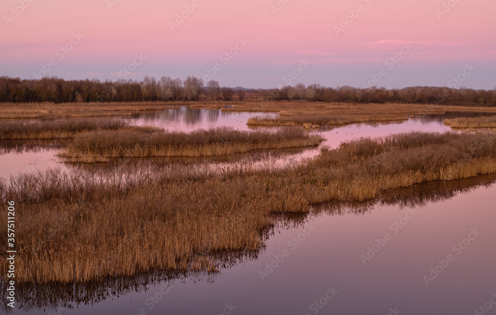 Lagoon of Caorle at sunset: spectacular sunset with a pink sky reflected in the water among the reeds