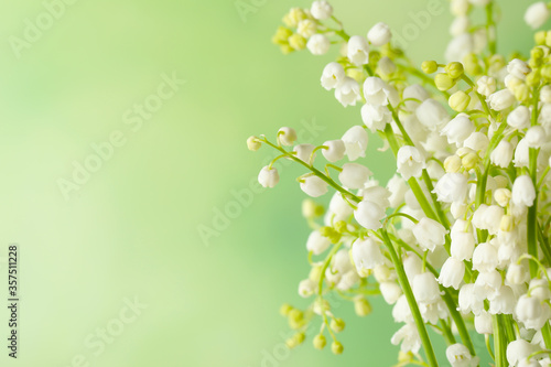 Beautiful lily of the valley flowers on green background, closeup. Space for text