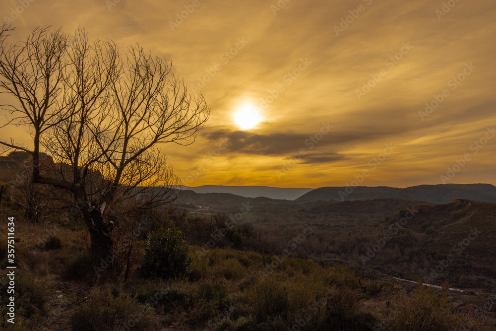 Fantastic sunset on the mountain, with a dead tree in the foreground, Spain