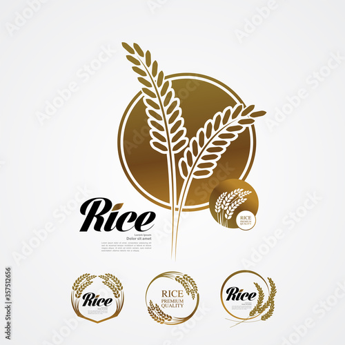 Premium Rice great quality design concept  vector.