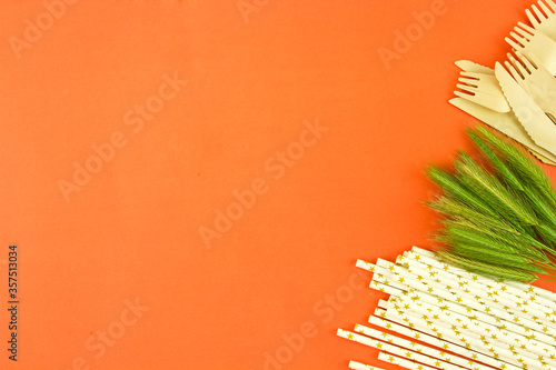 The concept of zero waste. Disposable tableware. Technologies for the reuse and processing of raw materials and waste.