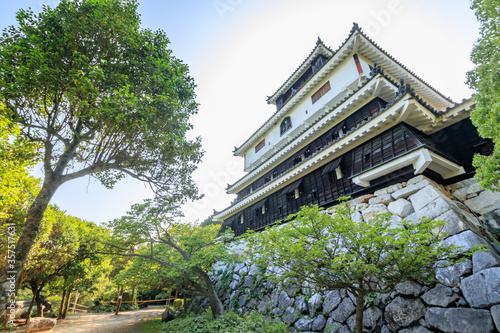 岩国城　山口県岩国市　
Iwakuni Castle Yamaguchi-ken Iwakuni city photo