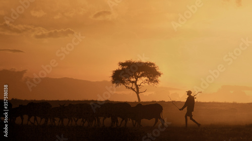Maasai Mara sunset with farmer and his cattle, Kenya