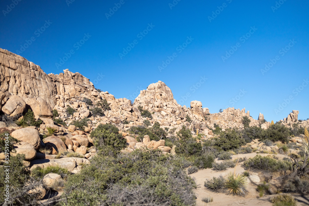 Desert Landscape of Mountains and Trees in Joshua Tree National Park California 