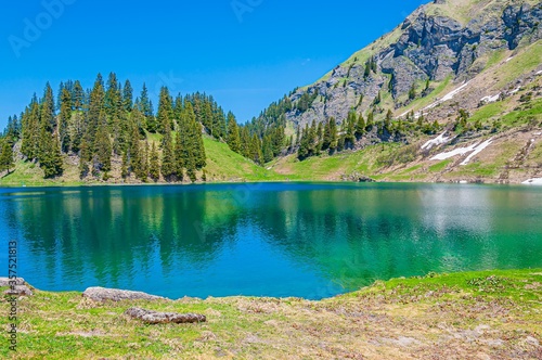 Mountains and trees surrounded by the lake Lac Lioson in Switzerland photo