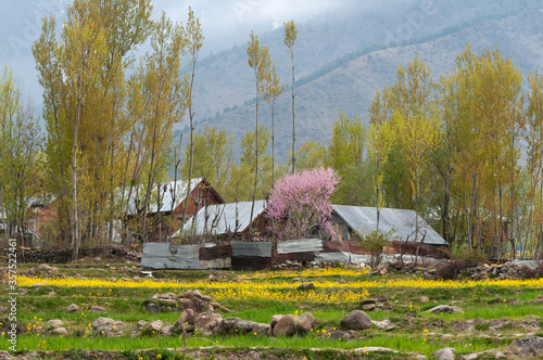 Photography C-0046 Beautiful Country-3
Photographed in India-controlled Kashmir in April 2019