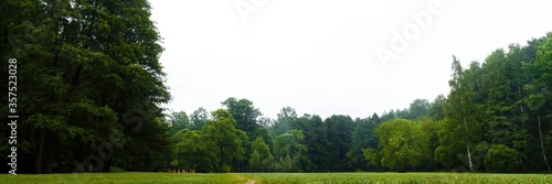 Panorama of a field in a summer forest park in the morning mist after a night rain with a path trodden by people, surrounded by beautiful tall trees and lush green vegetation covered with dew 