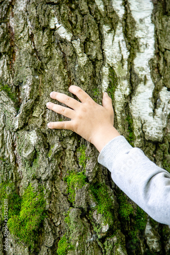 children's hands on a tree trunk, nature care concept