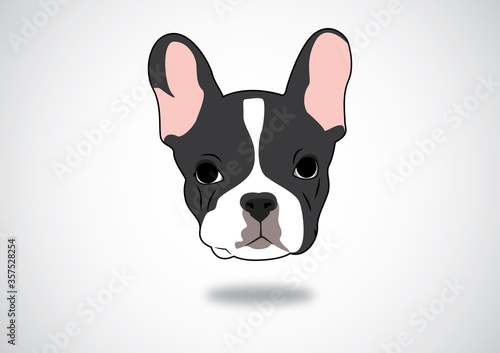 Cute Black & White Frenchie face portrait in the gray background vector © Tackey