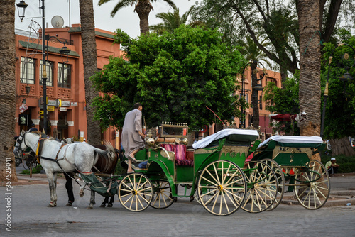 the famous colorful carriage and tourists in traditional Jamaa el Fna square (also Jemaa el-Fnaa, Medina , Djema el-Fna or Djemaa el-Fnaa) in Marrakesh, Morroco