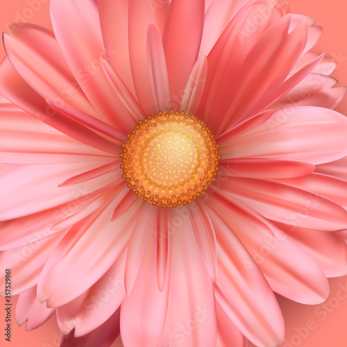 Blossoming bud of flower close up. Pink flower bud. Vector 3D illustration.