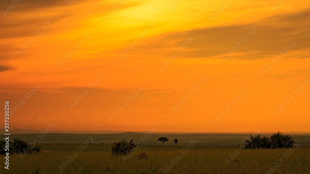 dramatic sunrise over savannah / meadow. Orange sky and dark ground. Countryside landscape under scenic colorful sky at Sunrise. Horizon with warm Colours