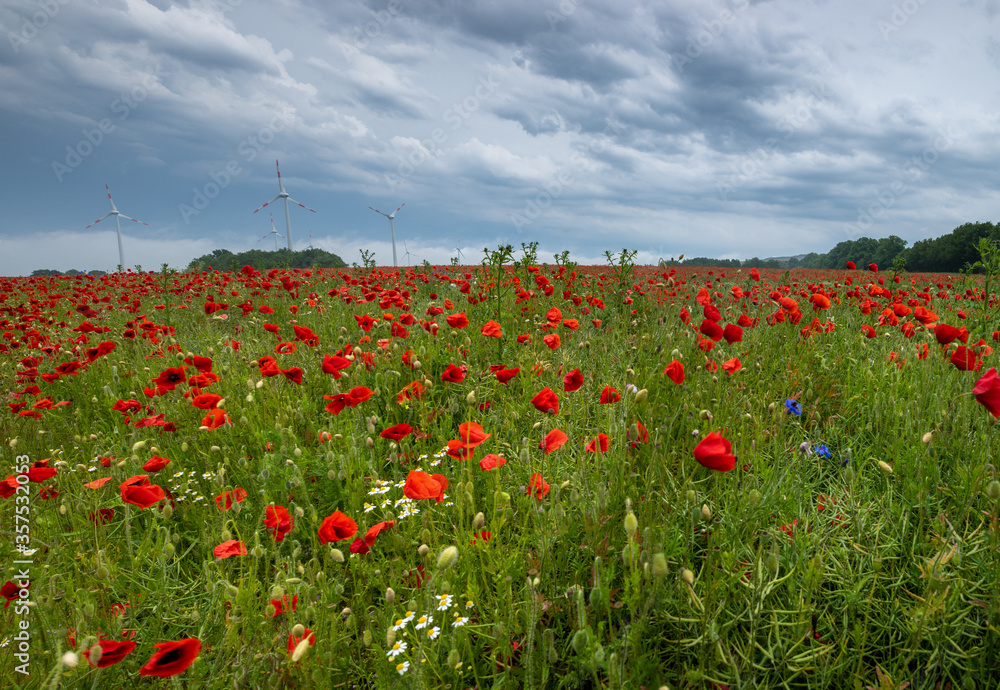 in foreground is a field with poppies and the sky is cloudy