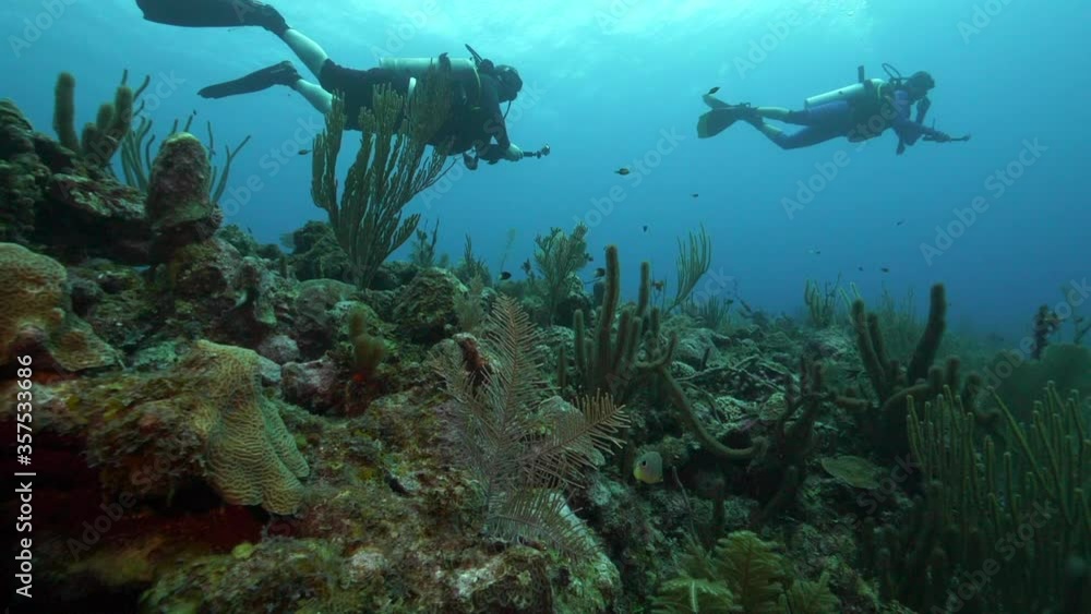 Slow motion of scuba divers exploring beautiful sea during vacation - Belize City, Belize Slow motion of scuba divers exploring beautiful sea during vacation - Belize City, Belize