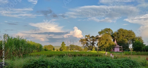 summer landscape with blue sky