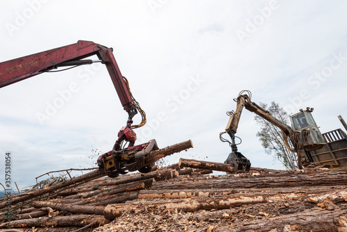 mechanical arm woodcutter picking up and cutting harvested log trunks and delivering it by steel cables and pulley