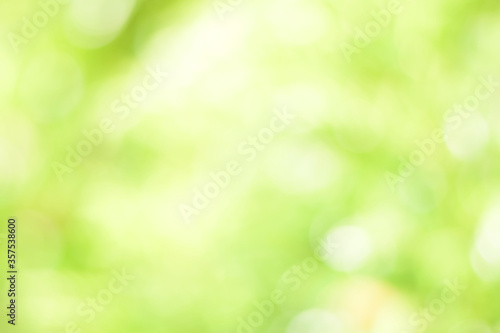 Green bokeh abstract background from nature