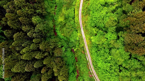 Aerial view of nature's straight road from directly above