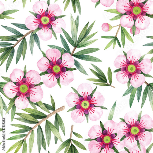 Manuka Honey seamless pattern with branch, leaves and flower. Hand drawn watercolor illustration isolated on white background. 
