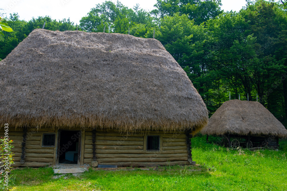 clay house with thatched roof and wooden fence