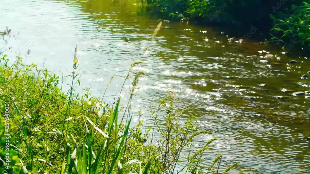 Shimmering creek flowing and grass swaying in winds Shimmering creek flowing and grass swaying in winds