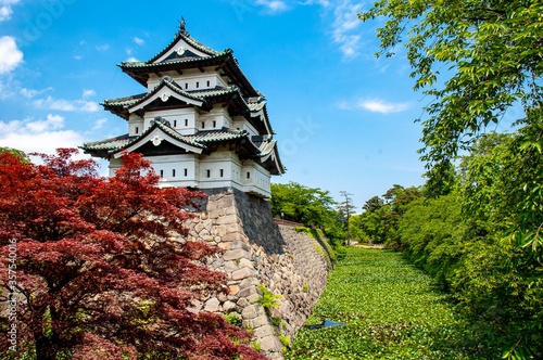 Small Japanese castle Hirosaki Castle in Aomori, Japan with trees in the front and moat covered by Lotus leaves photo