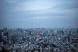 東京タワーが見える景色（グレー調）