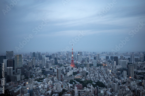 東京タワーが見える景色（グレー調）