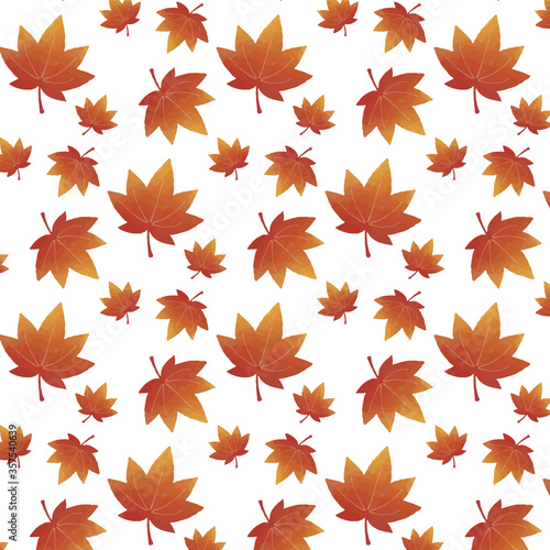 もみじ　パターン１　背景白