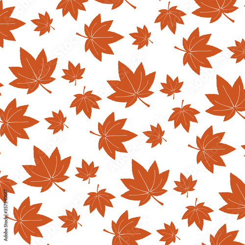 もみじ　パターン２　背景白