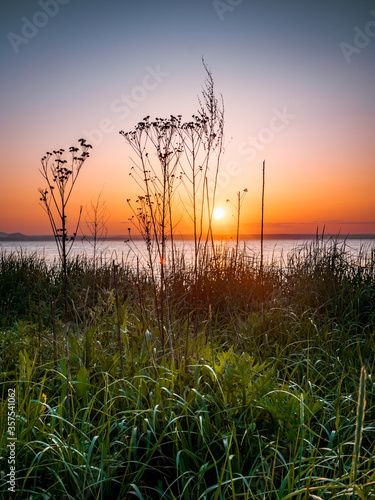 sunset in the field