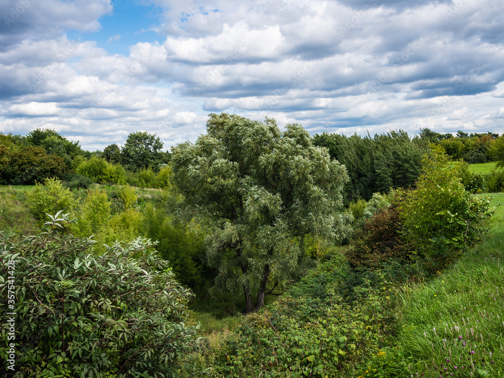 Summer evening landscape in the hilly area - summer day in nature, clouds and blue sky