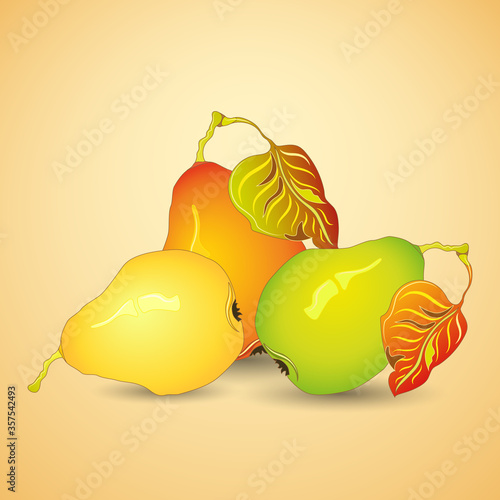 tree ripe pears with leaves on light coloured background. Vector illustration.