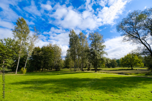 Fototapeta Naklejka Na Ścianę i Meble -  Meadow with trees in a sunny day in Gauja National Park in Latvia