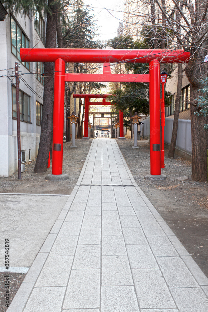 Red or vermilion torii gates at the Hanazono Jinja shrine, Shinjuku, Tokyo, Japan.