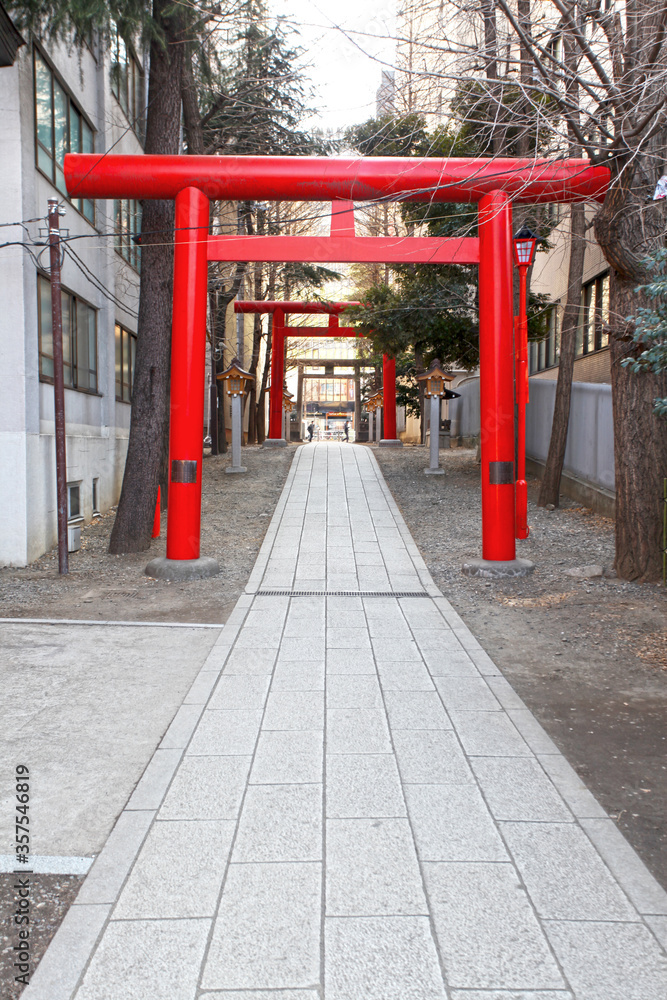 Red or vermilion torii gates at the Hanazono Jinja shrine, Shinjuku, Tokyo, Japan. Red or vermilion torii gates at the Hanazono Jinja shrine, Shinjuku, Tokyo, Japan.