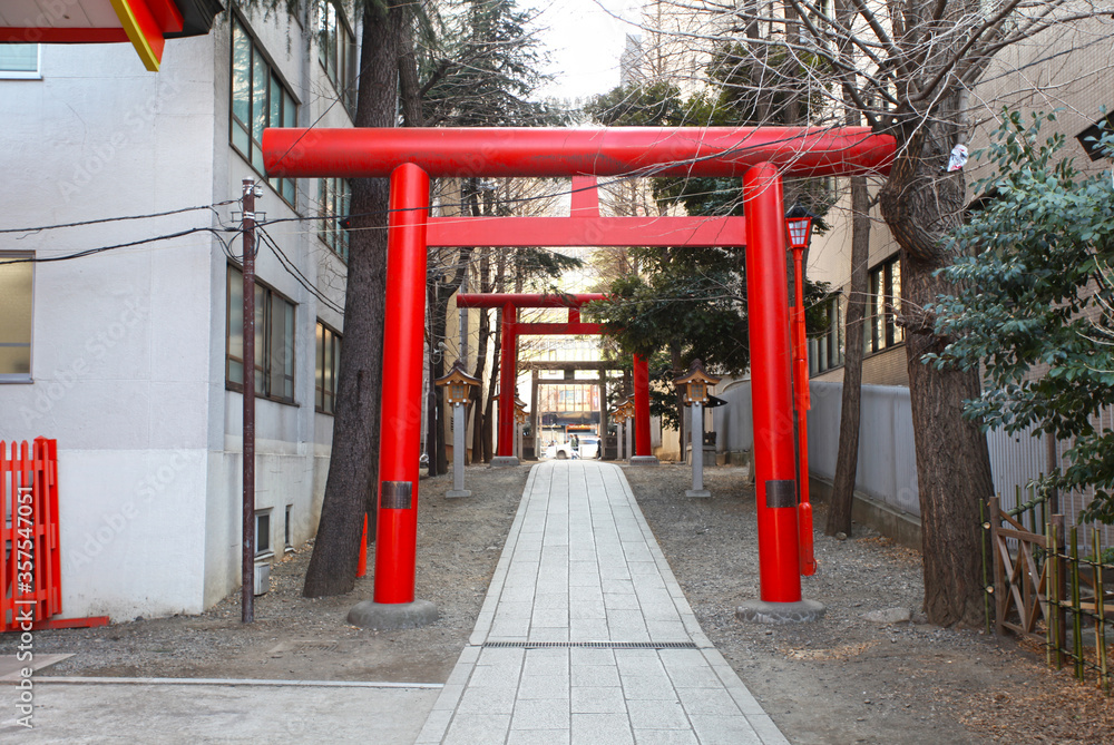 Red or vermilion torii gates at the Hanazono Jinja shrine, Shinjuku, Tokyo, Japan. Red or vermilion torii gates at the Hanazono Jinja shrine, Shinjuku, Tokyo, Japan.