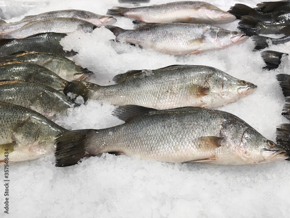 Close up raw snapper fish on ice Close up raw snapper fish on ice