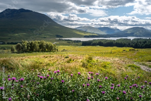 Loch Tulla lake in Scotland, UK surrounded by green meadows and mountains photo