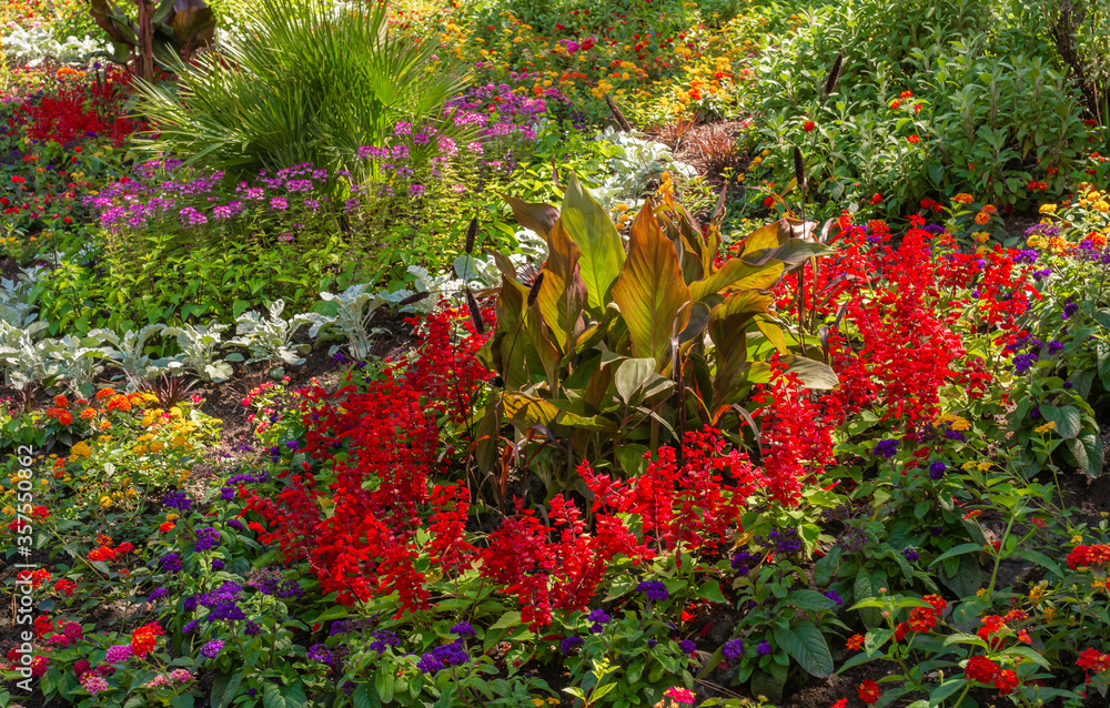 Obraz premium Blooming flower garden with variety of spring flowers and plats in South tyrol, Trentino Alto Adige,northern Italy