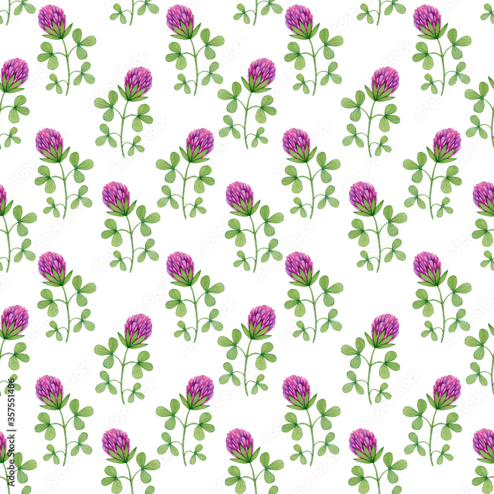 Watercolor seamless pattern of clover flowers on a white background.