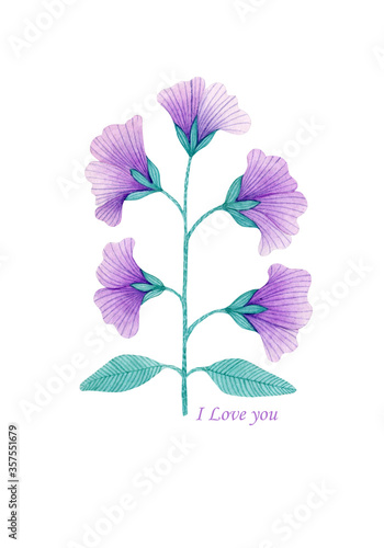 Watercolor purple flower isolated on white background.