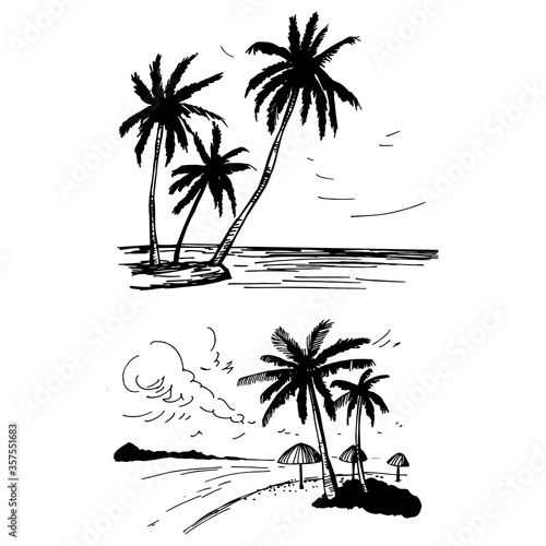Hand drawn landscapes with palm trees. Vector sketch  illustration.