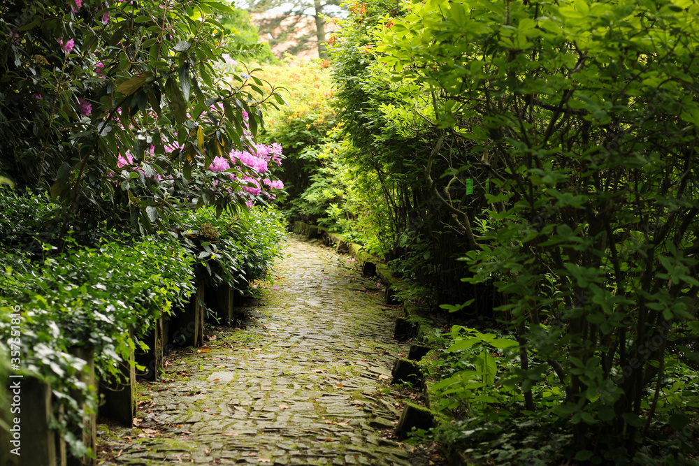 Flower alley with flower arches Flower alley with flower arches