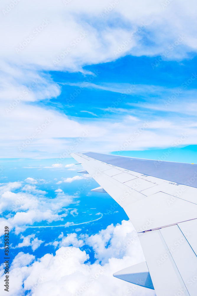 Fototapeta premium 飛行機からの眺め 水平線（羽田-石垣 直行便）