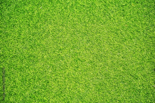 Close up of green grass textures from top angle.