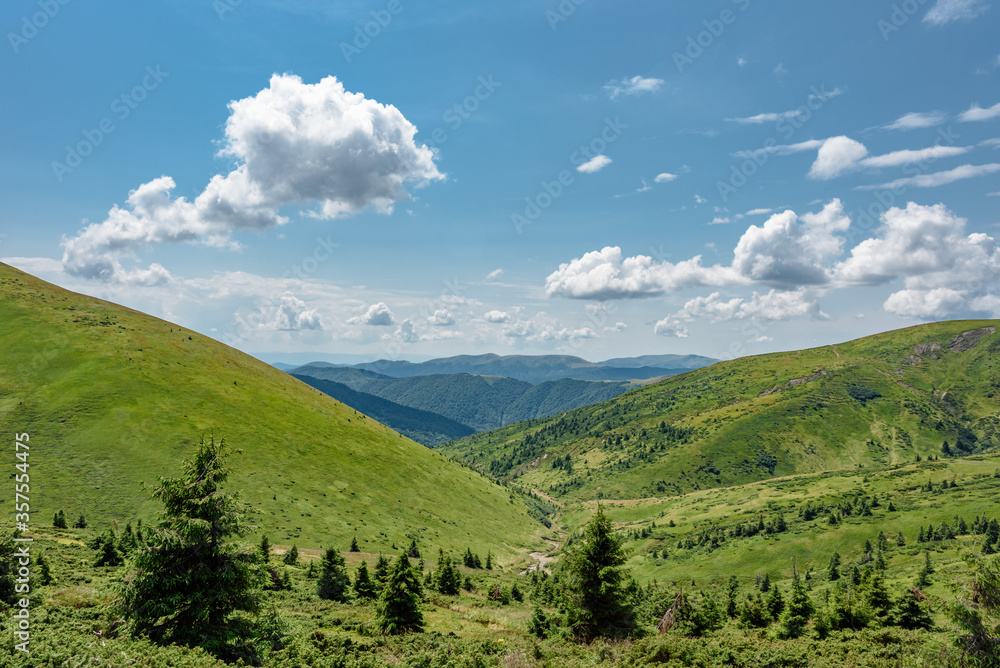 Beautiful Carpathian Mountains landscape in Dragobrat, summer view
