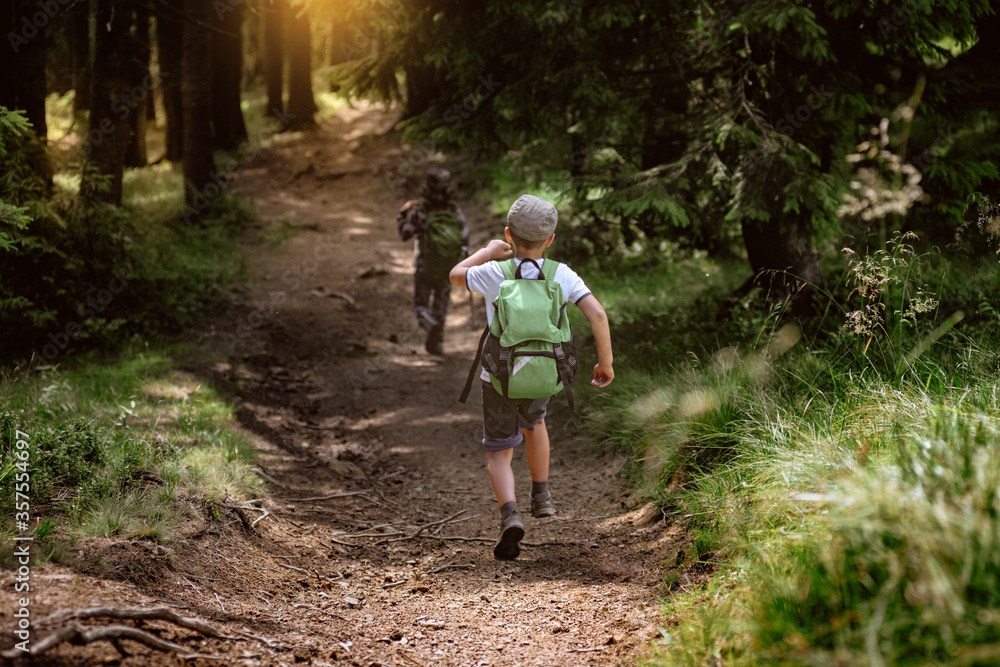 Obraz premium Group of young kids having fun while treeking in Carpathian mountains