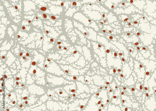 Branches of Blackthorn. Vector drawing