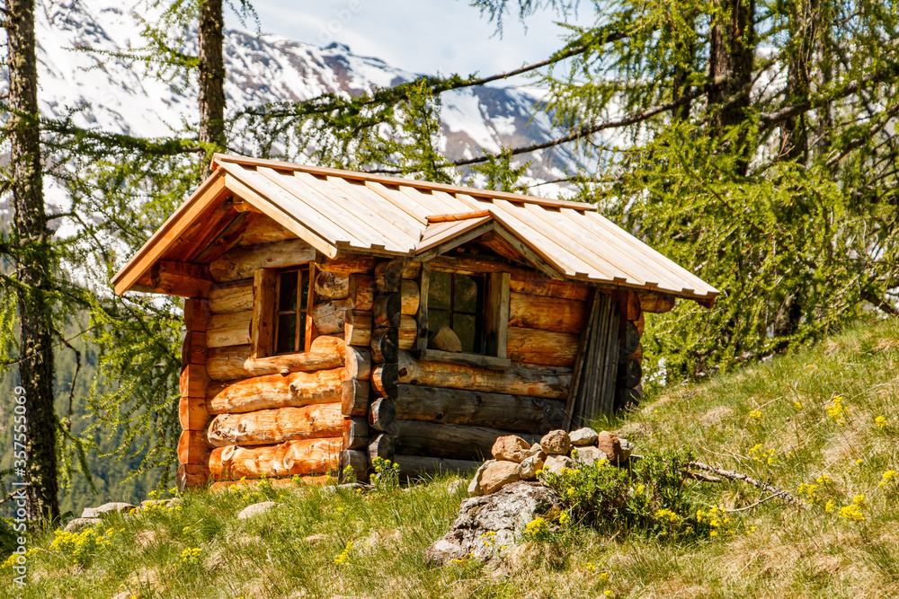 Kleine Blockhütte im Wald Kleine Blockhütte im Wald